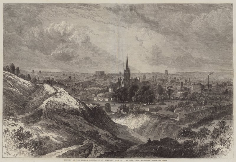 Møde i British Association i Norwich, Udsigt over byen fra Mousehold Heath af Samuel Read