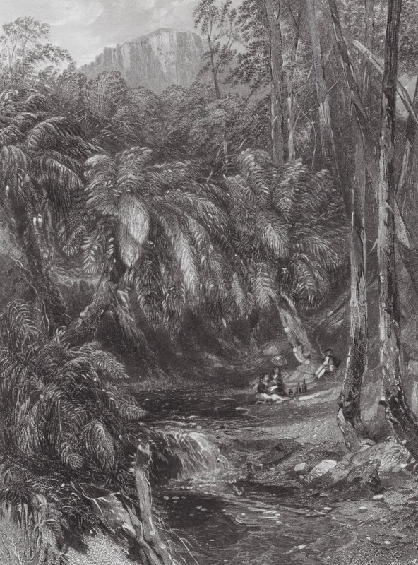 Australien: A Fern Tree Valley (gravering) af Samuel (after) Prout