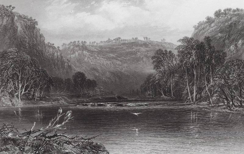 Australien: On the Cow Pasture River (gravering) af Samuel (after) Prout