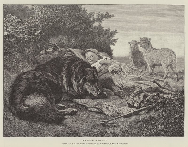 Hans første Besøg i Flokken, i Udstillingen af Instituttet for Malere i Oliefarver af Samuel John Carter