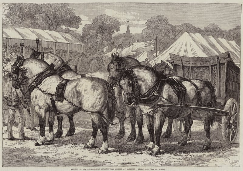 Møde i Lincolnshire Agricultural Society i Sleaford, First-Prize Team of Horses af Samuel John Carter