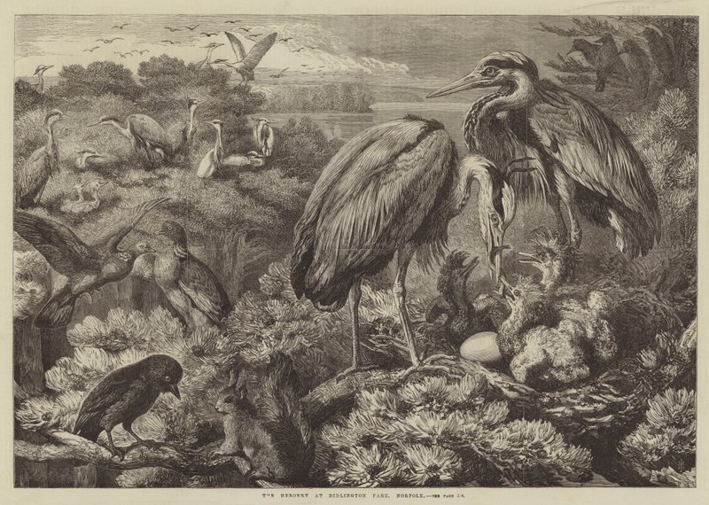 The Heronry i Didlington Park, Norfolk af Samuel John Carter