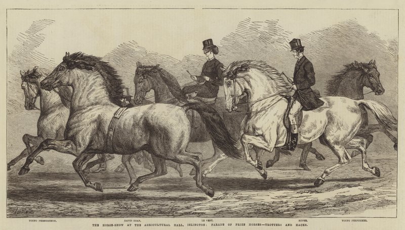 Hesteshowet i Agricultural Hall, Islington, parade med præmieheste, travheste og hesteheste af Samuel John Carter