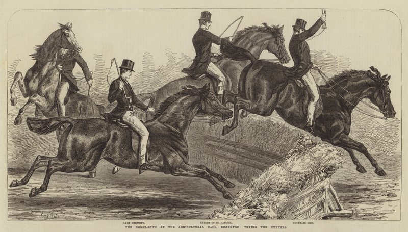 Hesteshowet i Agricultural Hall, Islington, der prøver jægerne af Samuel John Carter