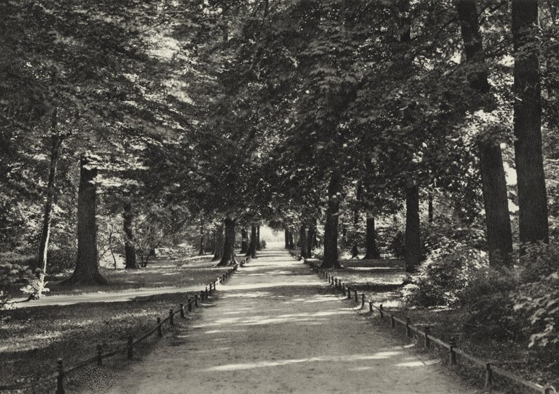 Berlin: Tiergarten (s/h foto) af Sasha Stone