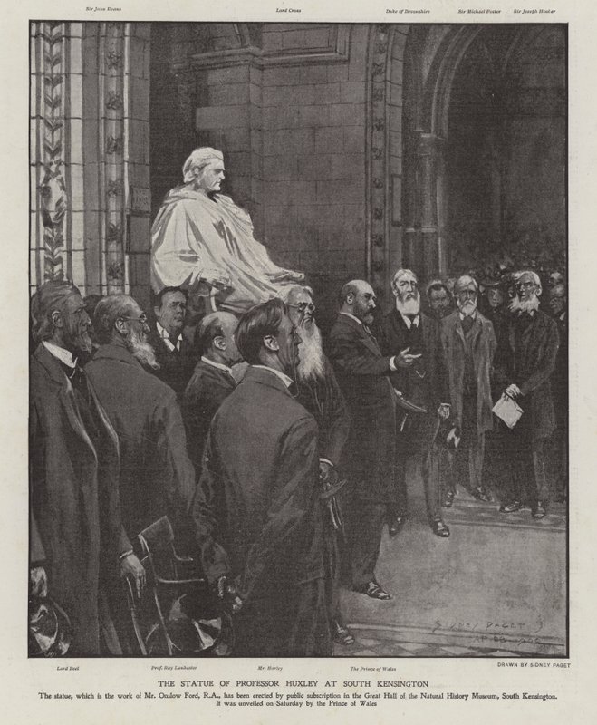 Statuen af professor Thomas Henry Huxley i Great Hall of the Natural History Museum, South Kensington, London (litho) af Sidney Paget