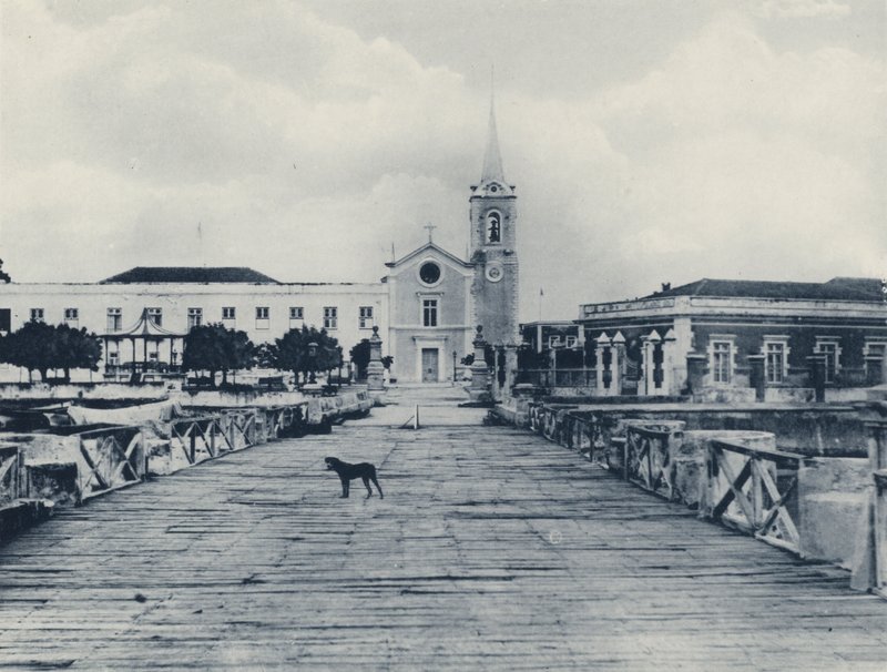 Et link til den gamle verden, Mozambique (s/h foto) af South African Photographer