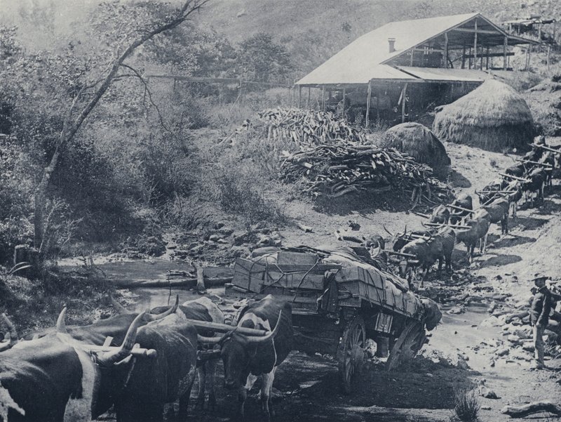 A Wagon Break-down, Scotsman Reef, Baberton (s/h foto) af South African Photographer
