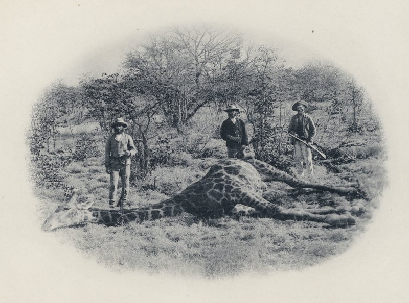 Storvildtjagt i Transvaal (s/h-billede) af South African Photographer