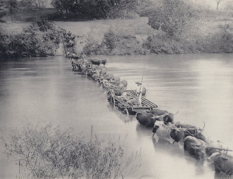 Hvordan floder krydses i Transvaal (s/h foto) af South African Photographer