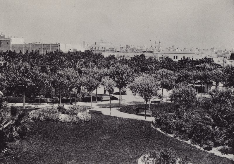 Cadiz: Parque Genoves (s/h-billede) af Spanish Photographer