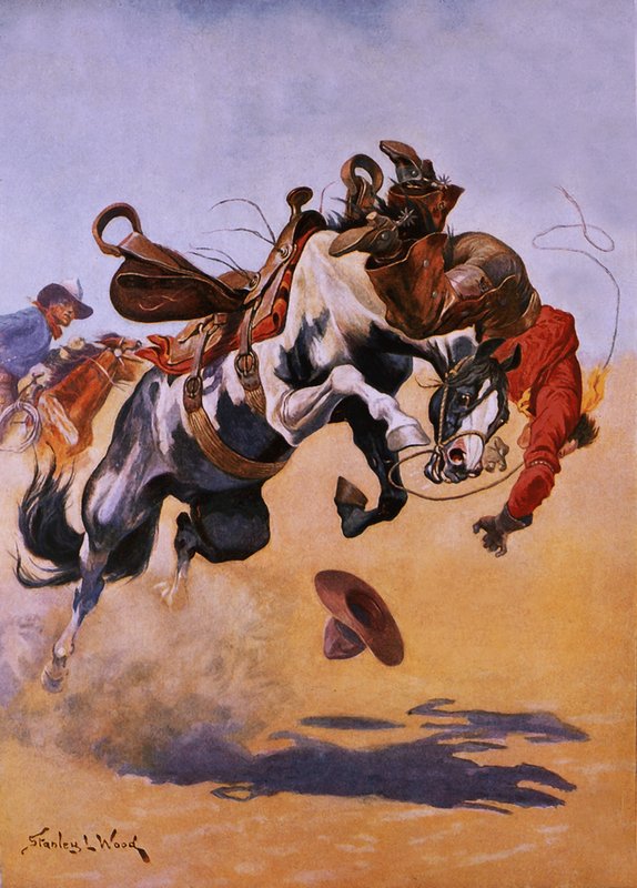 Bucked! af Stanley L. Wood