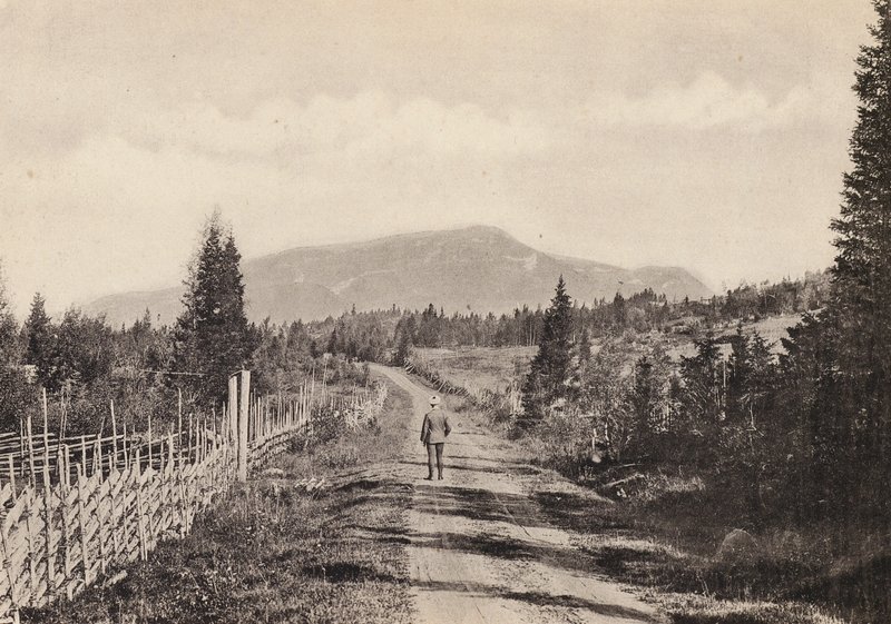 Sverige / Sverige: Jamtland, Areskutan Fran Undersaker (s/h foto) af Swedish Photographer