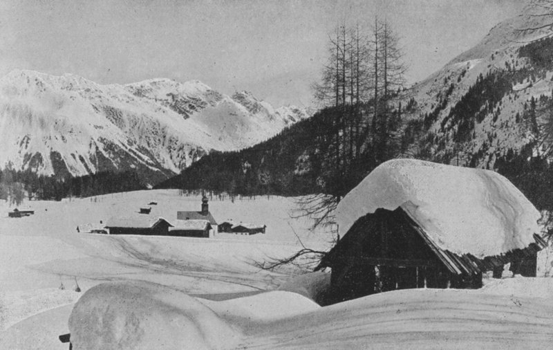 Laret pres Davos (s/h foto) af Swiss Photographer