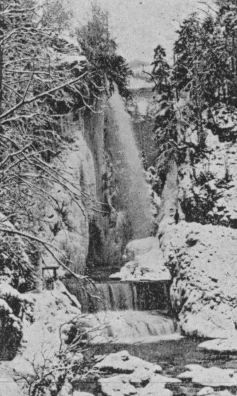 Taubenloch Gorges, nær Biel om vinteren (s/h foto) af Swiss Photographer