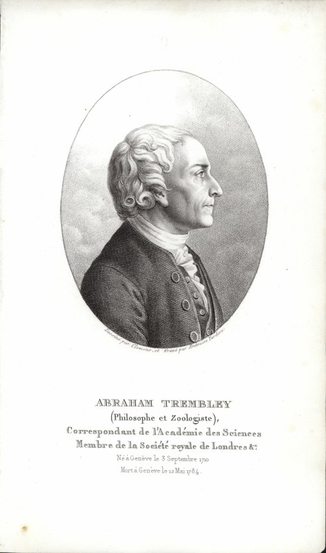 Abraham Trembley af Swiss School