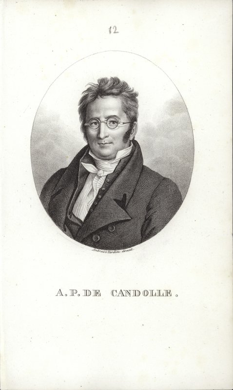 Augustin Pyramus de Candolle af Swiss School