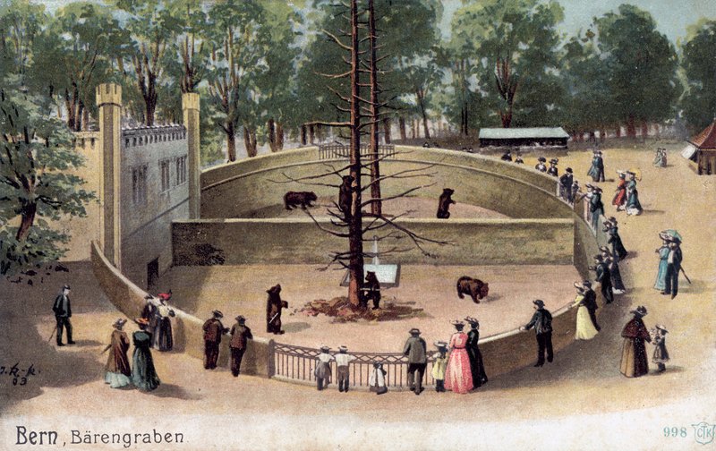 Bern, Bjørnehave (farve litho) af Swiss School