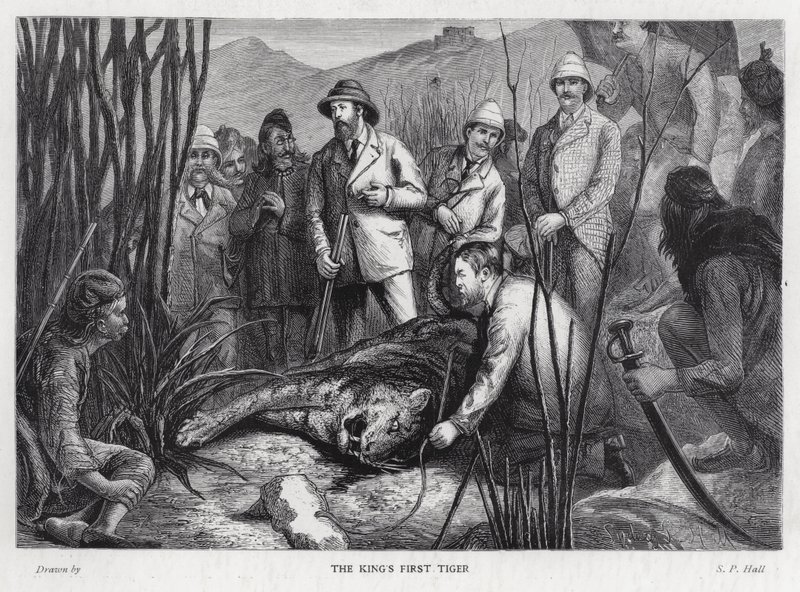 Kong Edward VII med tigeren han har dræbt (litho) af Sydney Prior (after) Hall