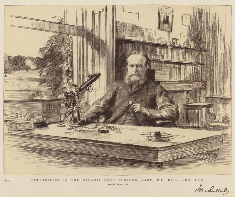 Dagens berømtheder, Sir John Lubbock, Baronet, MP, DCL, FRS, LLD af Theodore Blake Wirgman