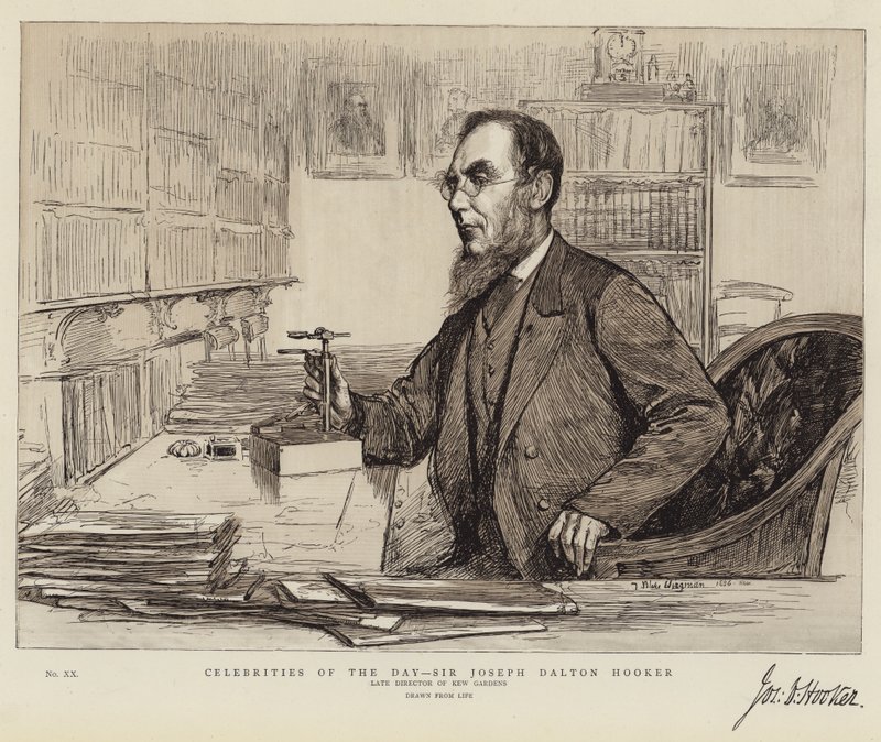 Dagens berømtheder, Sir Joseph Dalton Hooker af Theodore Blake Wirgman