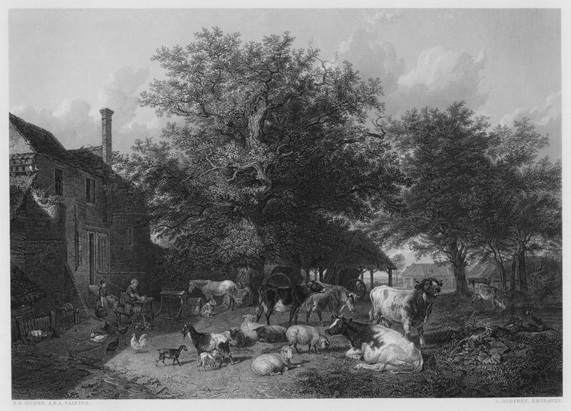 The Farm-Yard, fra billedet i Vernon Gallery af Thomas Sidney Cooper