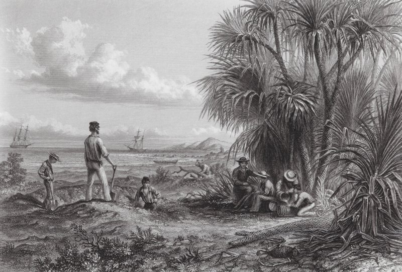Australien: En opdagelsesrejsendes lejr (kobberstik) af Thomas (after) Baines