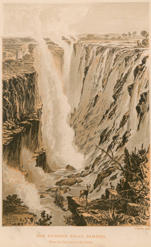 Victoria Falls af Thomas Baines