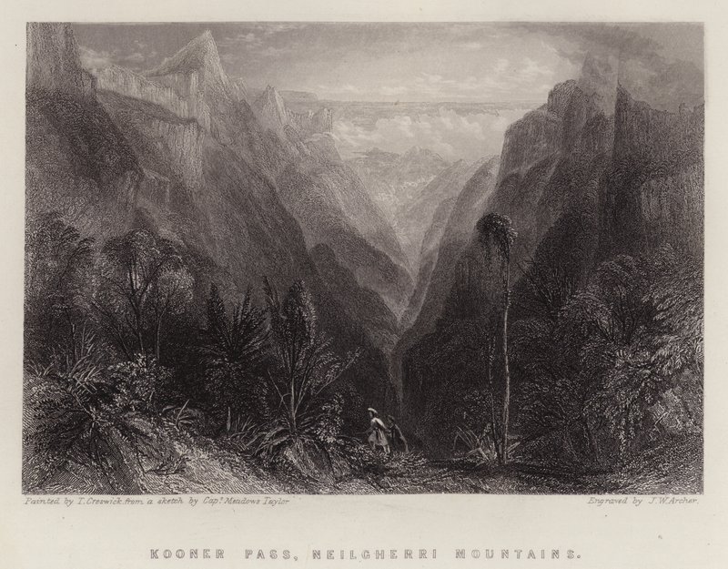 Kooner Pass, Neilgherri Mountains (farve litho) af Thomas Creswick