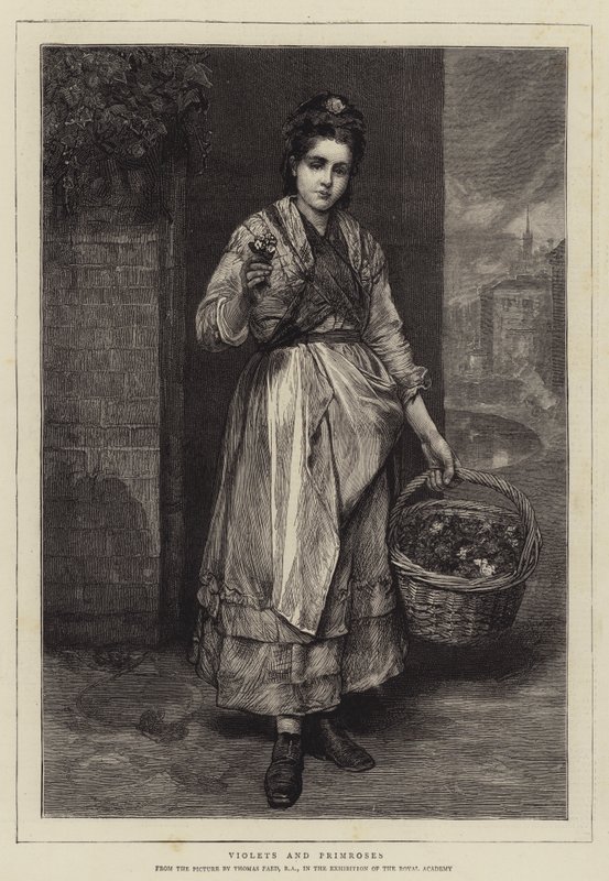 Violer og Primulaer af Thomas Faed