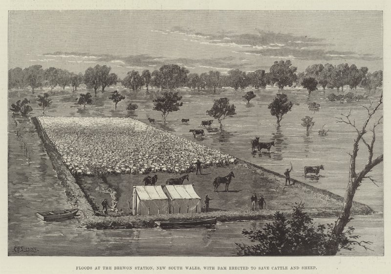 Oversvømmelser ved Brewon Station, New South Wales, med dæmning opført for at redde kvæg og får af Thomas Harrington Wilson