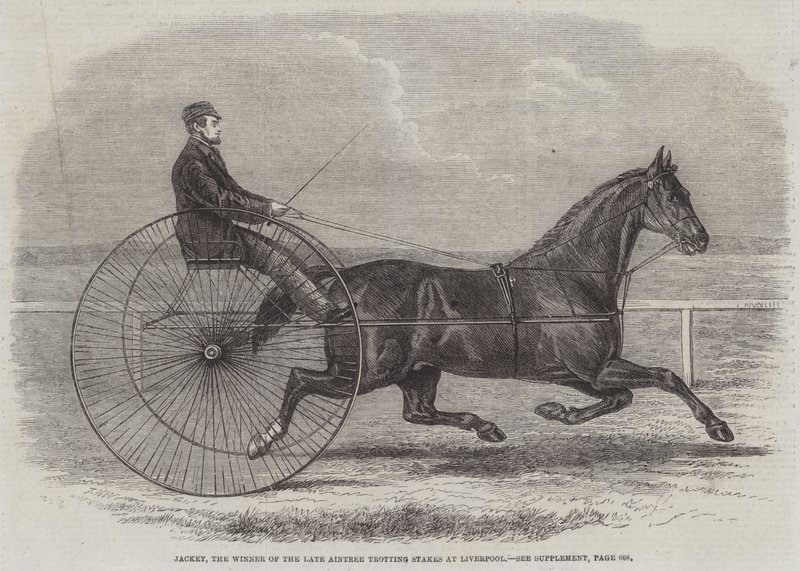 Jackey, vinderen af den afdøde Aintree Trotting Stakes i Liverpool af Thomas Harrington Wilson