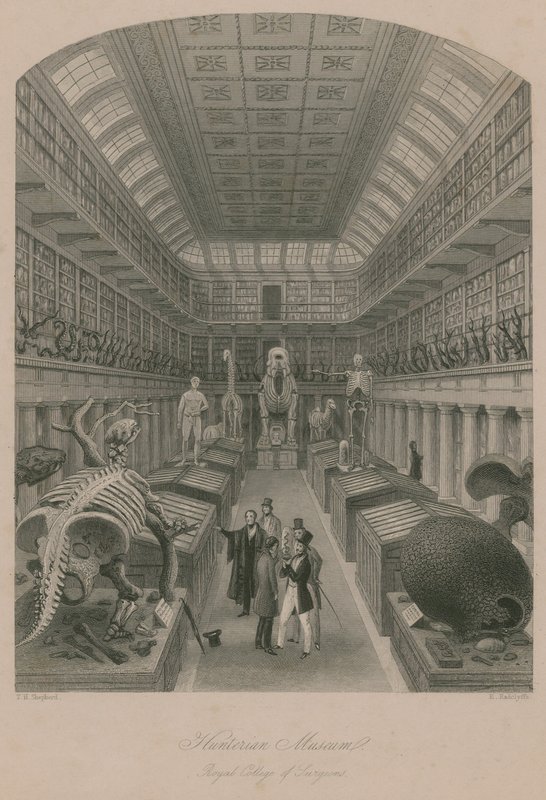 Hunterian Museum, Royal College of Surgeons, London af Thomas Hosmer Shepherd