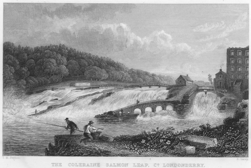 The Coleraine Salmon Leap, County Londonderry (gravering) af Thomas Mann (after) Baynes
