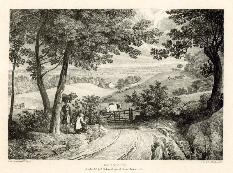 Norwood, London af Thomas Mann Baynes