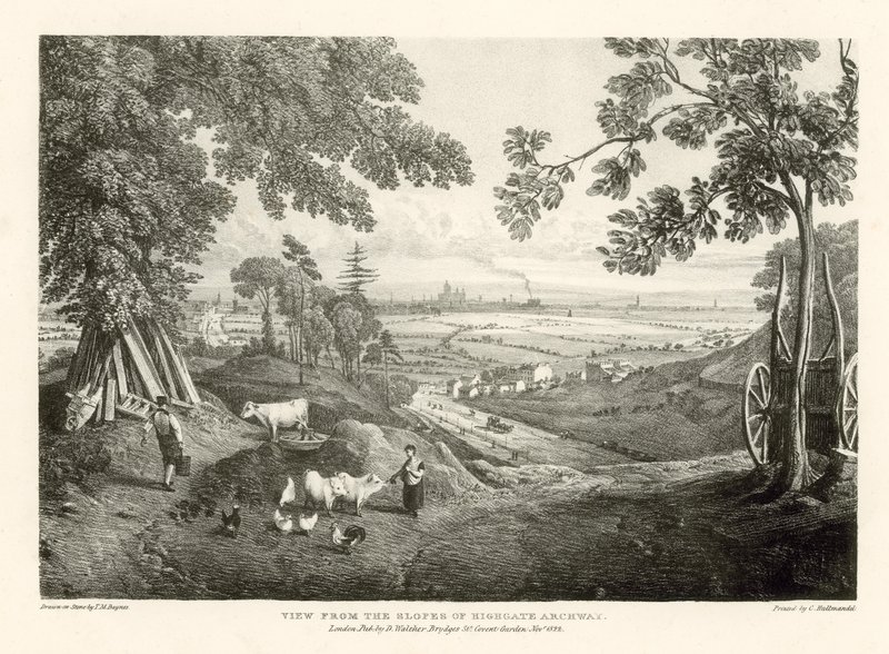 Udsigt fra skråningerne af Highgate Archway af Thomas Mann Baynes