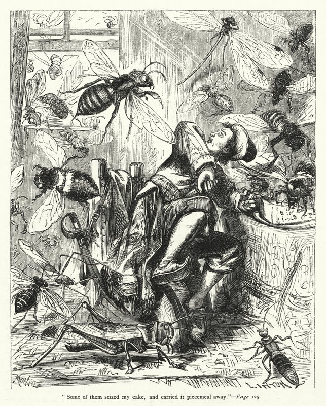 Illustration til Gullivers rejser af Jonathan Swift (gravering) af Thomas Morten