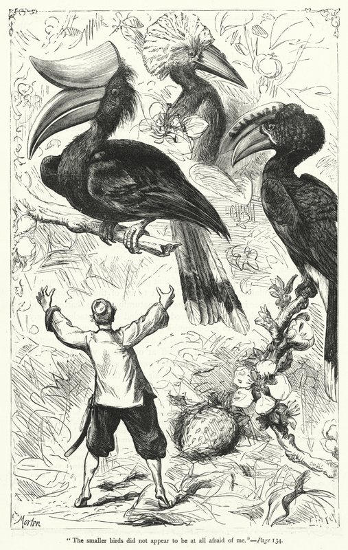 Illustration til Gullivers rejser af Jonathan Swift (gravering) af Thomas Morten