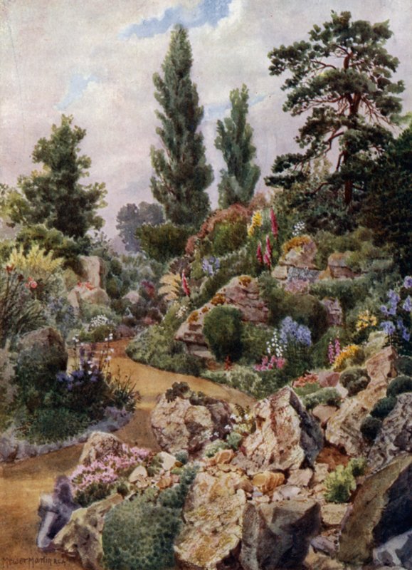 Kew Gardens: In the Rock Garden (farve litho) af Thomas Mower Martin