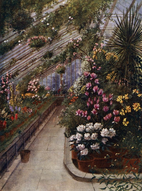 Kew Gardens: The Green House (farve litho) af Thomas Mower Martin
