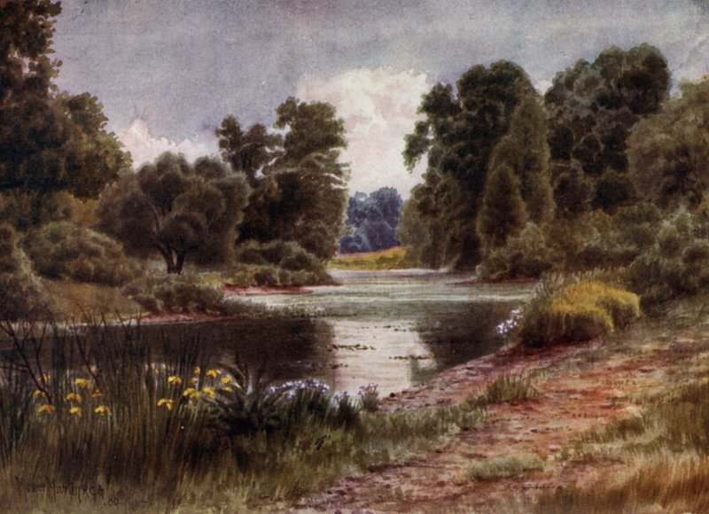 Kew Gardens: The Lake, Looking South (farve litho) af Thomas Mower Martin