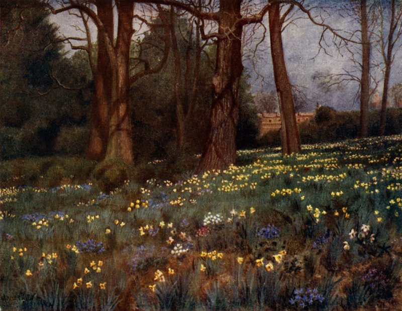 Kew Gardens: The Wild Garden in Spring (farve litho) af Thomas Mower Martin