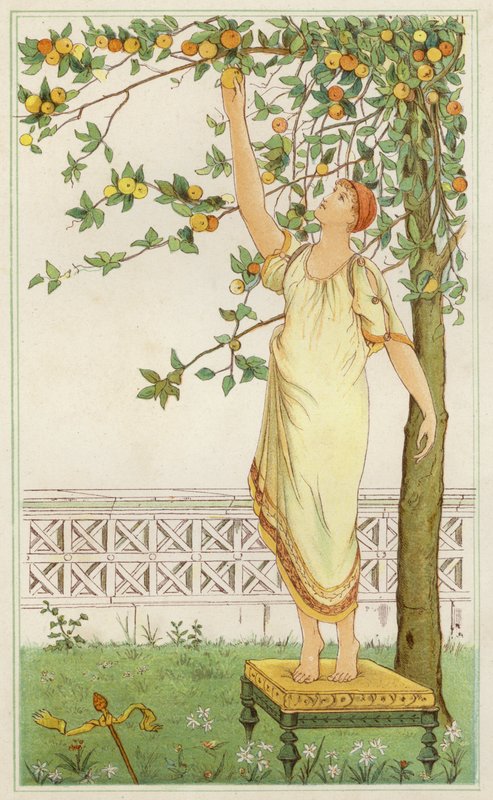 Danae blandt appelsintræerne (farve litho) af Thomas Ralph Spence