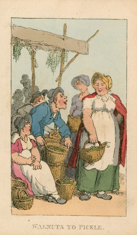 Valnødder til at sylte af Thomas Rowlandson