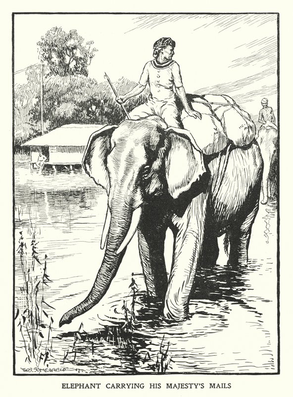 Elefant, der bærer Hans Majestæts post (litografi) af Thomas Somerfield
