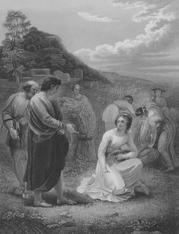 Ruth Gleaning, Ruth 2, vers 1-15 af Thomas Stothard