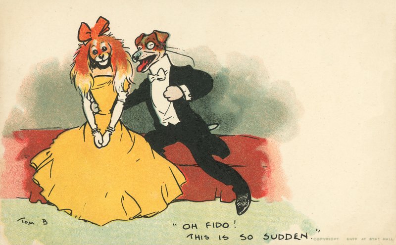 Hunde klædt ud som et romantisk par (farve litho) af Tom Browne