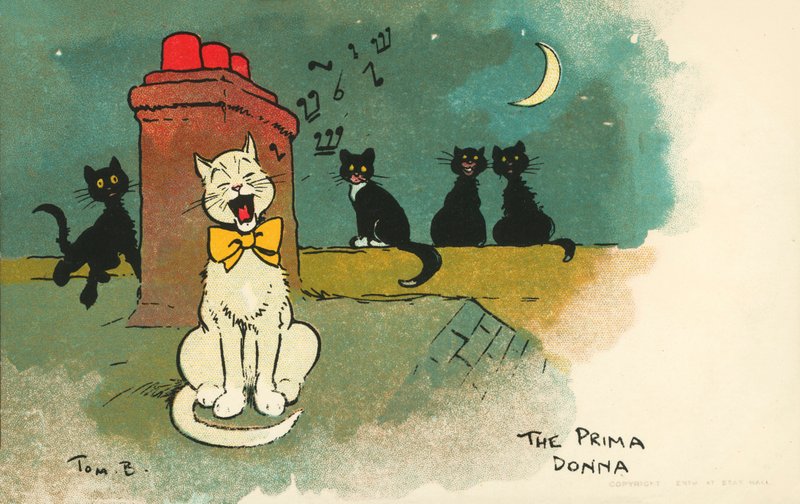 Prima donna (farvelitografi) af Tom Browne