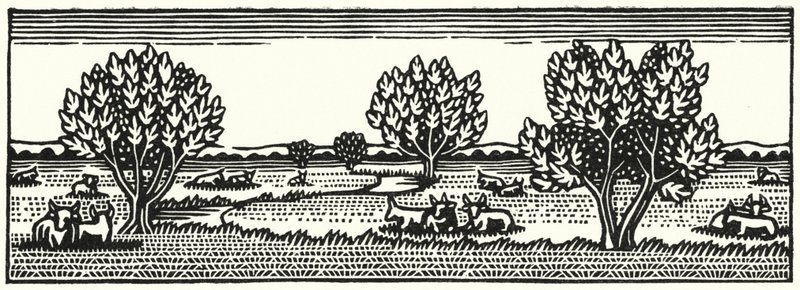 Illustration til Tess Of The DUrbervilles af Thomas Hardy (gravering) af Vivien Gribble