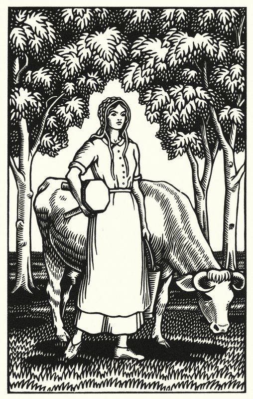 Illustration til Tess Of The DUrbervilles af Thomas Hardy (gravering) af Vivien Gribble